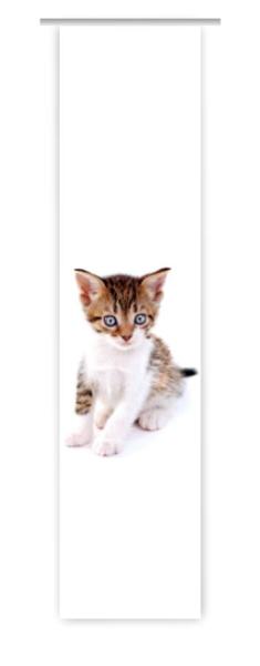 Träumli Katzenbaby, Flächenvorhang Einzel